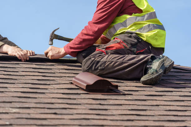 Best Roof Gutter Cleaning  in Sorrento, LA