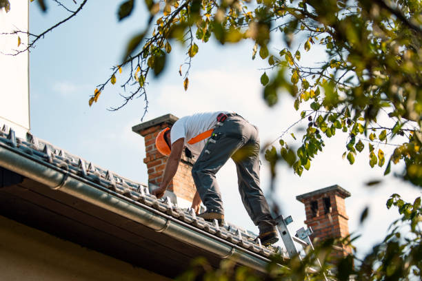 Best Roof Gutter Cleaning  in Sorrento, LA
