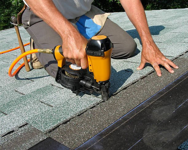 Best Roof Gutter Cleaning  in Sorrento, LA